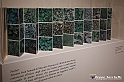 VBS_1319 - Castello di Miradolo - Mostra Oltre il giardino l'Abbecedario di paolo Pejrone